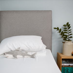 Bamboo Starter Set Bundle