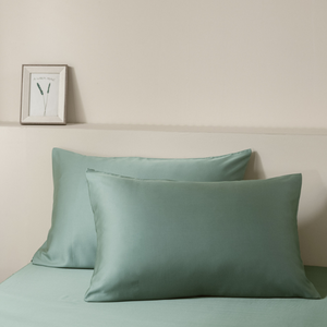 Pillows + Pillowcases Bundle