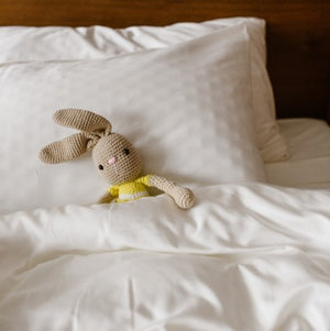 Pillows + Pillowcases Bundle