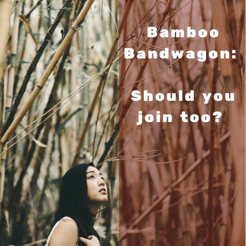 what is the bamboo bandwagon