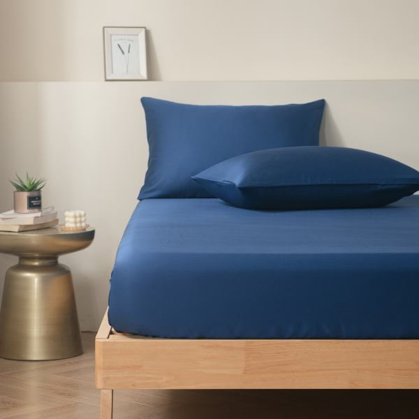 Bamboo Luxury Pillowcase (2 Piece Set)