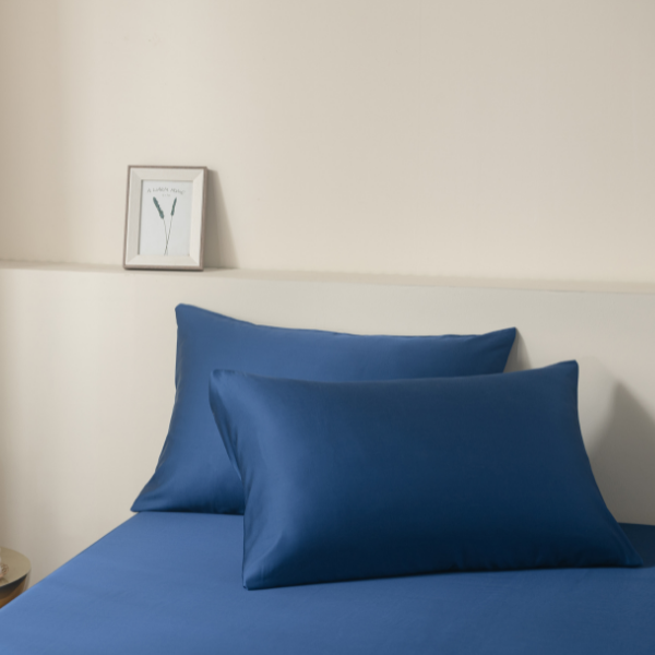 Pillows + Pillowcases Bundle