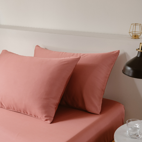 Pillows + Pillowcases Bundle